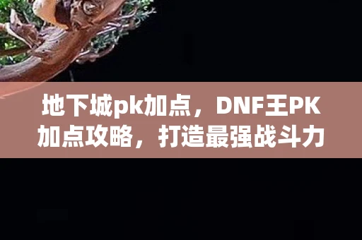 地下城pk加点，DNF王PK加点攻略，打造最强战斗力的关键
