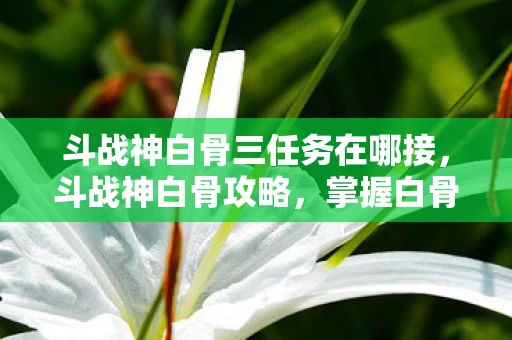 斗战神白骨三任务在哪接，斗战神白骨攻略，掌握白骨精的精髓