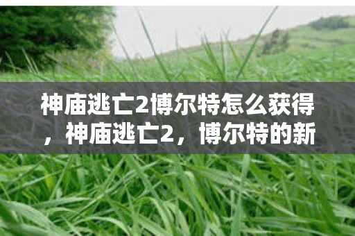 神庙逃亡2博尔特怎么获得，神庙逃亡2，博尔特的新挑战