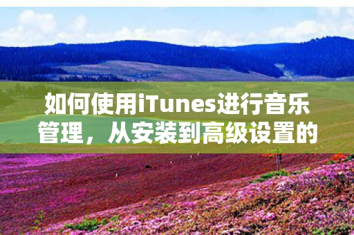 如何使用iTunes进行音乐管理,从安装到高级设置的全面指南 如何使用iTunes进行音乐管理,从安装到高级设置的全面指南