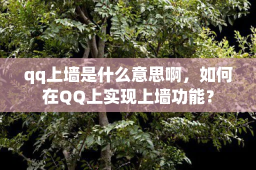 qq上墙是什么意思啊，如何在QQ上实现上墙功能？