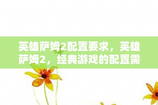 英雄萨姆2配置要求，英雄萨姆2，经典游戏的配置需求