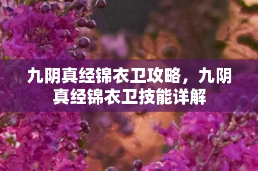九阴真经锦衣卫攻略,九阴真经锦衣卫技能详解 九阴真经锦衣卫攻略,九阴真经锦衣卫技能详解