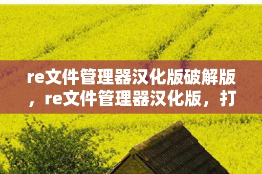 re文件管理器汉化版破解版,re文件管理器汉化版,打造你的专属文件管理神器 re文件管理器汉化版破解版,re文件管理器汉化版,打造你的专属文件管理神器