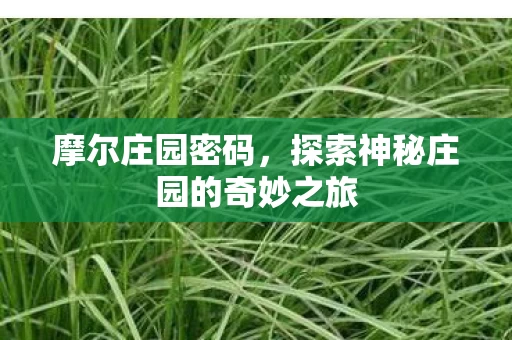 探索神秘庄园的奇妙之旅图片