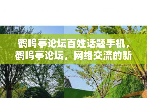 鹤鸣亭论坛百姓话题手机，鹤鸣亭论坛，网络交流的新天地