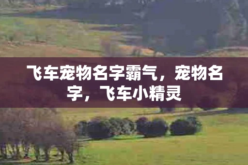 飞车宠物名字霸气，宠物名字，飞车小精灵