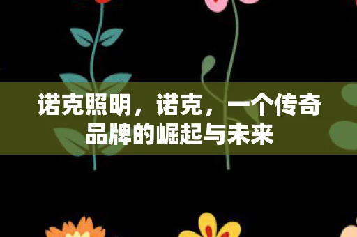 诺克照明，诺克，一个传奇品牌的崛起与未来