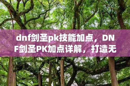 dnf剑圣pk技能加点，DNF剑圣PK加点详解，打造无敌连招，称霸决斗场
