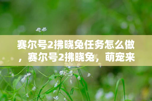 赛尔号2拂晓兔任务怎么做，赛尔号2拂晓兔，萌宠来袭，开启新冒险！