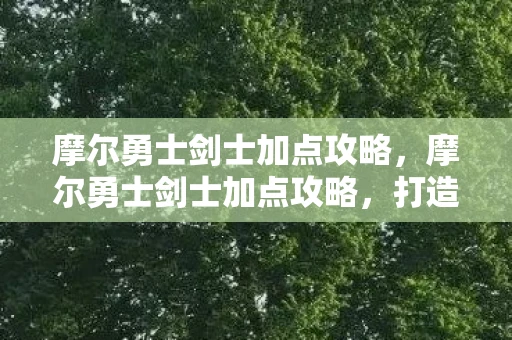 摩尔勇士剑士加点攻略，摩尔勇士剑士加点攻略，打造最强剑士的秘诀