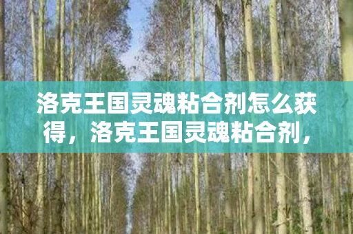 洛克王国灵魂粘合剂怎么获得，洛克王国灵魂粘合剂，探索神秘力量的奥秘