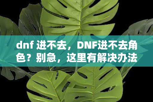 dnf 进不去，DNF进不去角色？别急，这里有解决办法！