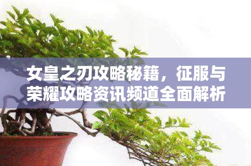 征服与荣耀攻略资讯频道全面解析图片
