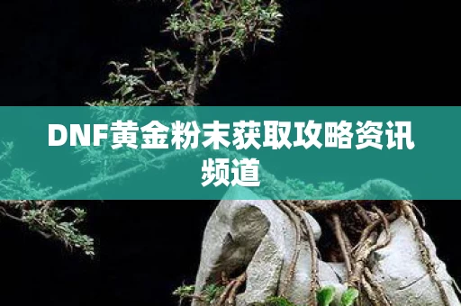 DNF黄金粉末获取攻略资讯频道图片