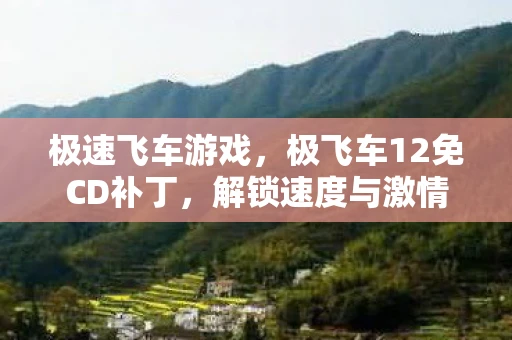 极速飞车游戏，极飞车12免CD补丁，解锁速度与激情的钥匙