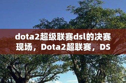 dota2超级联赛dsl的决赛现场，Dota2超联赛，DSL的激情与荣耀
