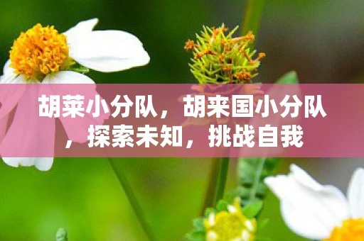 胡莱小分队，胡来国小分队，探索未知，挑战自我