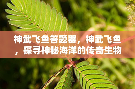 神武飞鱼答题器，神武飞鱼，探寻神秘海洋的传奇生物
