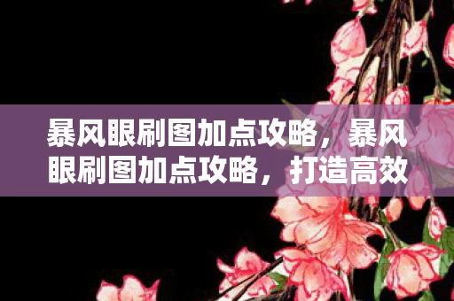 暴风眼刷图加点攻略，暴风眼刷图加点攻略，打造高效战斗力的关键