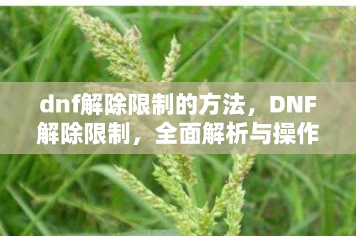 dnf解除限制的方法,DNF解除限制,全面解析与操作指南 dnf解除限制的方法,DNF解除限制,全面解析与操作指南