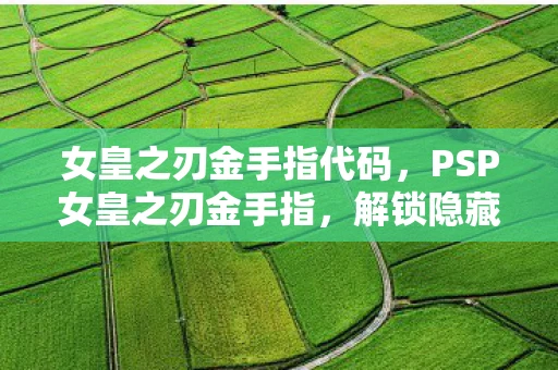 女皇之刃金手指代码，PSP女皇之刃金手指，解锁隐藏角色与技能的秘密