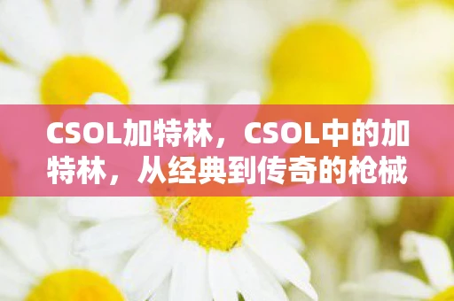 CSOL加特林，CSOL中的加特林，从经典到传奇的枪械演变