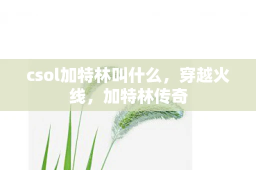 csol加特林叫什么，穿越火线，加特林传奇