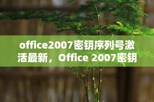 office2007密钥序列号激活最新，Office 2007密钥序列号，合法获取与注意事项