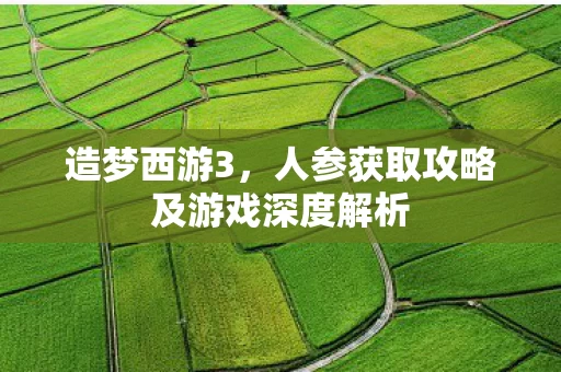 人参获取攻略及游戏深度解析图片