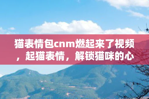 猫表情包cnm燃起来了视频,起猫表情,解锁猫咪的心灵密码 猫表情包cnm燃起来了视频,起猫表情,解锁猫咪的心灵密码