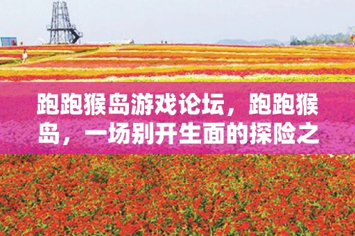 跑跑猴岛游戏论坛，跑跑猴岛，一场别开生面的探险之旅
