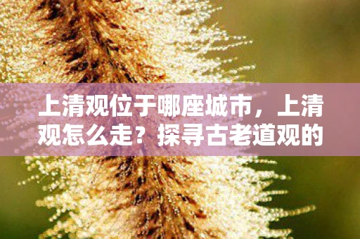 上清观位于哪座城市，上清观怎么走？探寻古老道观的神秘之旅