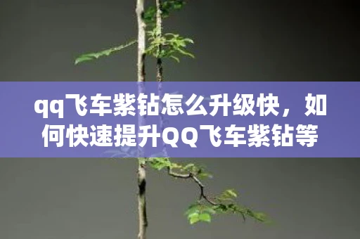 qq飞车紫钻怎么升级快,如何快速提升QQ飞车紫钻等级 qq飞车紫钻怎么升级快,如何快速提升QQ飞车紫钻等级