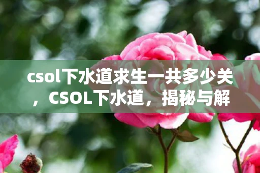 csol下水道求生一共多少关，CSOL下水道，揭秘与解析
