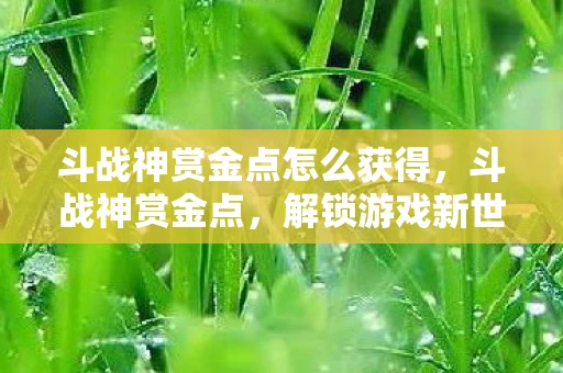 斗战神赏金点怎么获得，斗战神赏金点，解锁游戏新世界的钥匙