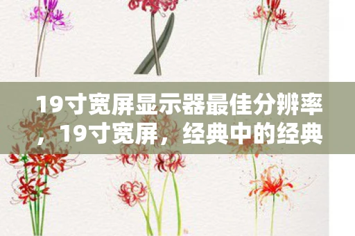 19寸宽屏显示器最佳分辨率,19寸宽屏,经典中的经典 19寸宽屏显示器最佳分辨率,19寸宽屏,经典中的经典