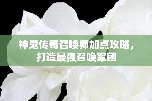神鬼传奇召唤师加点攻略图片