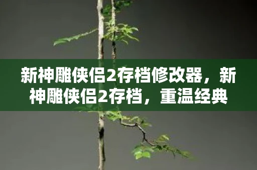 新神雕侠侣2存档修改器，新神雕侠侣2存档，重温经典，续写传奇