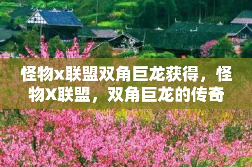 怪物x联盟双角巨龙获得，怪物X联盟，双角巨龙的传奇冒险