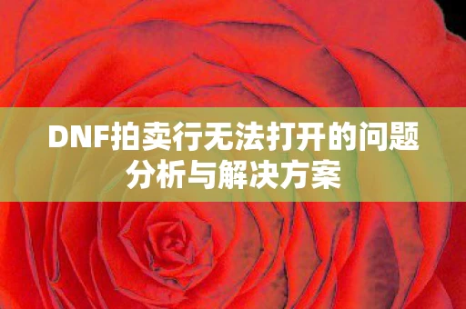 DNF拍卖行无法打开的问题分析与解决方案图片