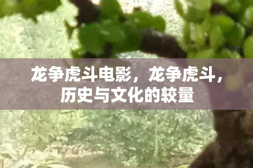 龙争虎斗电影，龙争虎斗，历史与文化的较量