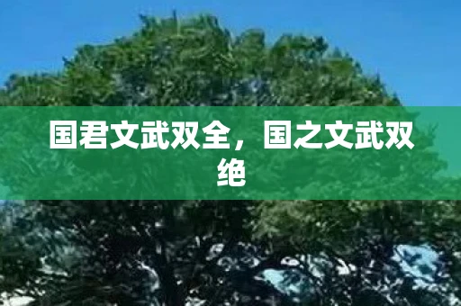 国君文武双全,国之文武双绝 国君文武双全,国之文武双绝