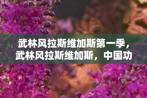 武林风拉斯维加斯第一季,武林风拉斯维加斯,中国功夫的海外盛宴 武林风拉斯维加斯第一季,武林风拉斯维加斯,中国功夫的海外盛宴