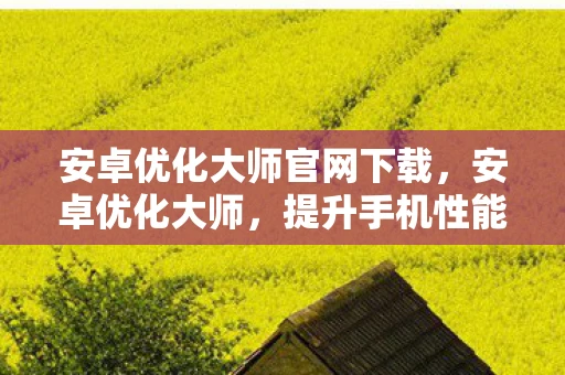 安卓优化大师官网下载，安卓优化大师，提升手机性能，优化使用体验