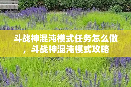 斗战神混沌模式任务怎么做，斗战神混沌模式攻略