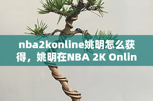 nba2konline姚明怎么获得,姚明在NBA 2K Online中的传奇表现 nba2konline姚明怎么获得,姚明在NBA 2K Online中的传奇表现