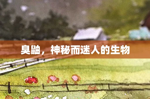 臭鼬，神秘而迷人的生物