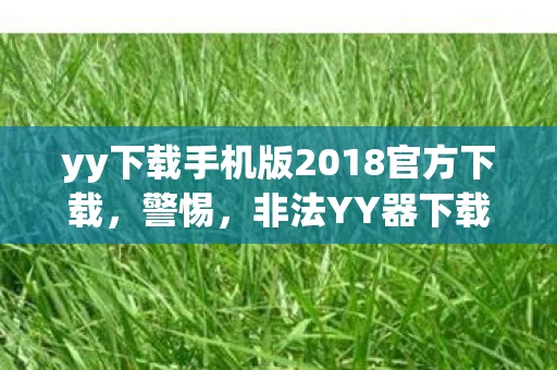 yy下载手机版2018官方下载，警惕，非法YY器下载背后的风险与应对