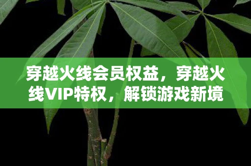 穿越火线会员权益,穿越火线VIP特权,解锁游戏新境界 穿越火线会员权益,穿越火线VIP特权,解锁游戏新境界